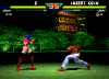 sfex1scrn3.png (40556 bytes)