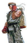 ryu-alpha-tktn-amazing-artwork.jpg (41079 bytes)