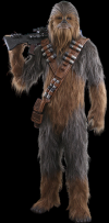 chewbacca-full-body.png (120502 bytes)