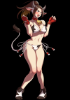mai-shiranui-snk-heroines-costume-cowgirl.png (306986 bytes)