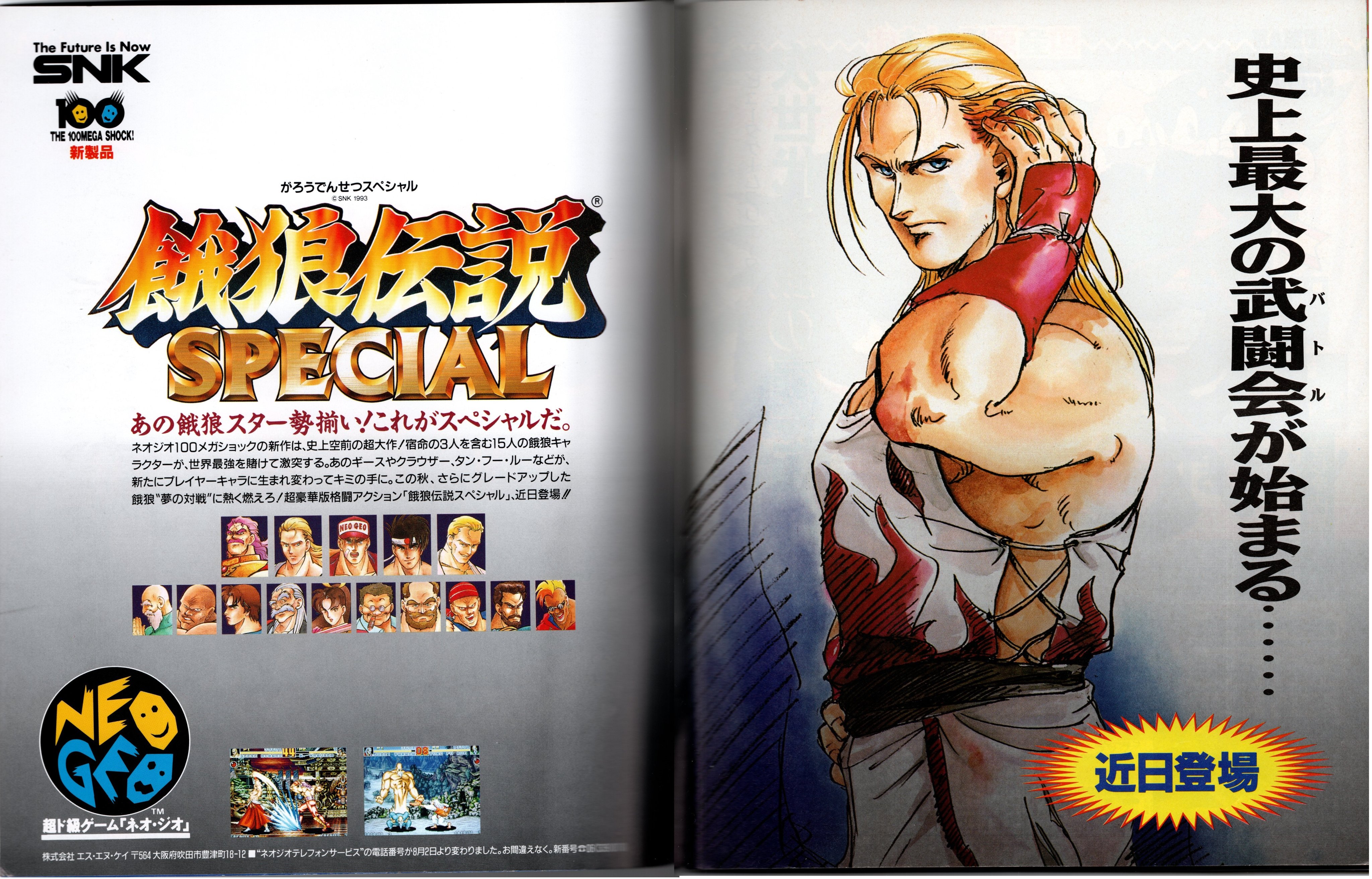 Fatal Fury Special - Character Art (by Eiji Shiroi)