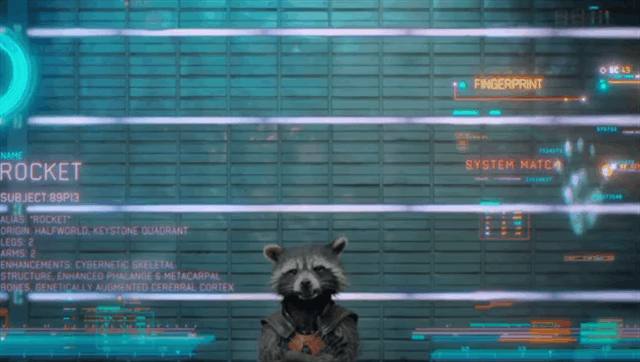 rocket raccoon guardians of the galaxy movie gif