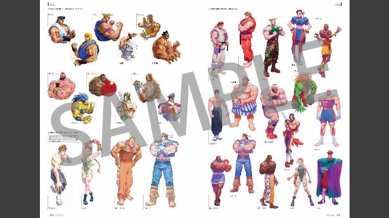 Ultra Street Fighter® II: The Final Challengers for Nintendo